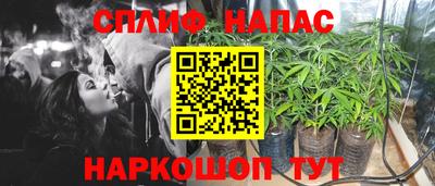 ГАЛЛЮЦИНОГЕННЫЕ ГРИБЫ Заводоуковск