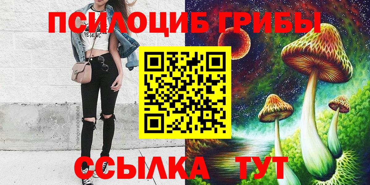 Кыштым  Псилоцибиновые грибы Psilocybine cubensis  Вход с VPN 
